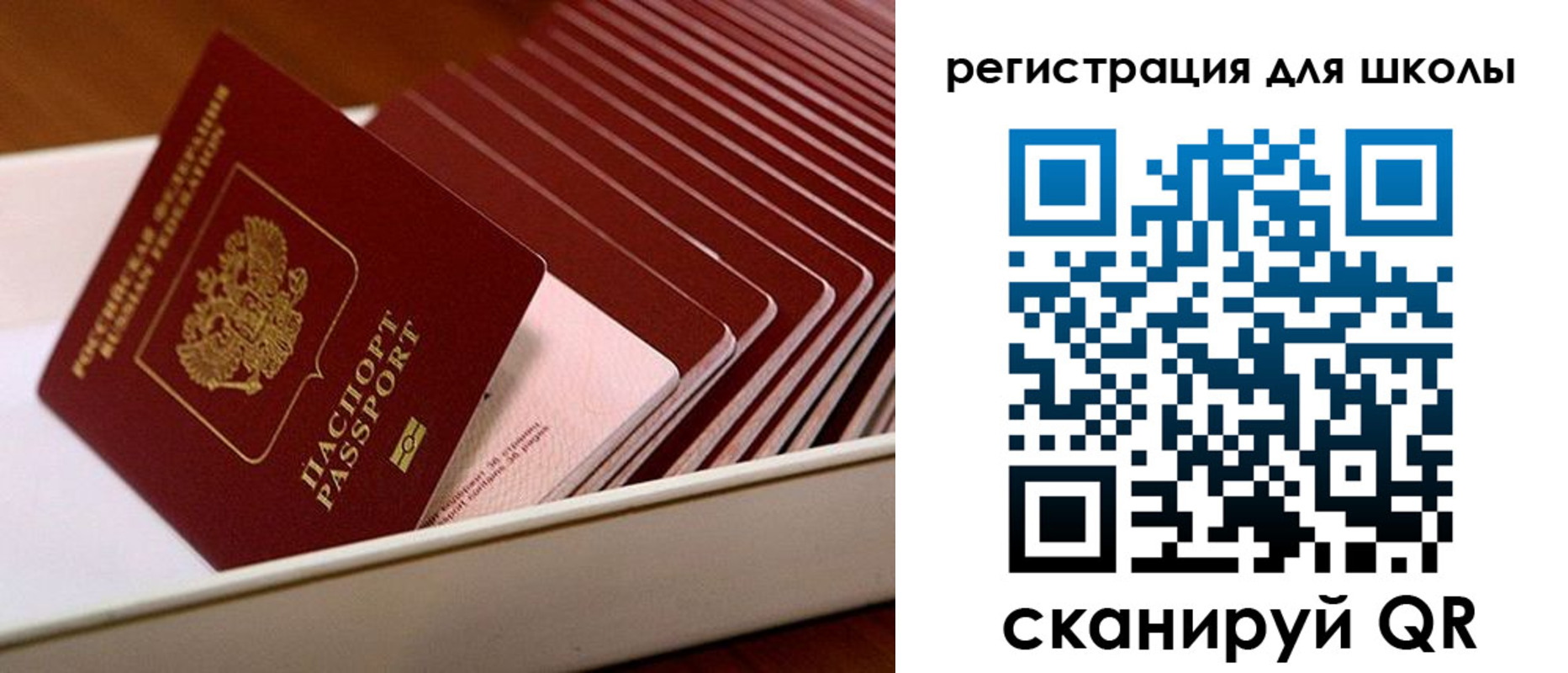прописка гарантия в Аксае